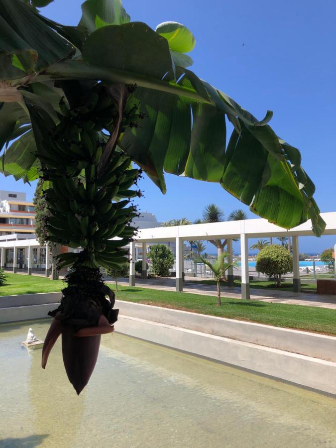 Apartmán Good Vibes Costa Del Silencio Exteriér fotografie
